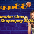 Bandar Situs Agen Shopeepay 2024