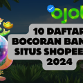 10 Daftar Bocoran Bandar Situs Shopeepay 2024